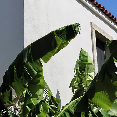 Voger Koeyici Hotel *