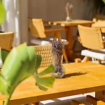 Voger Koeyici Hotel