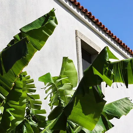 酒店 Voger Koeyici 阿拉恰特