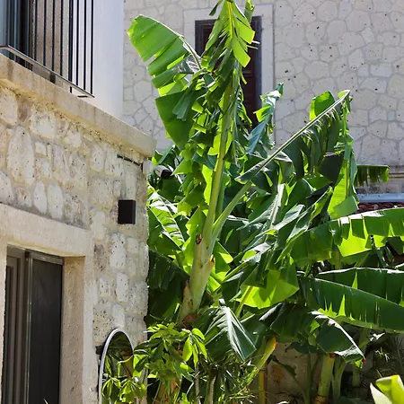 Voger Köyiçi