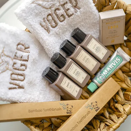 Voger Koeyici 酒店 阿拉恰特