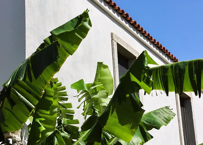 Отель Voger Koeyici Алачати