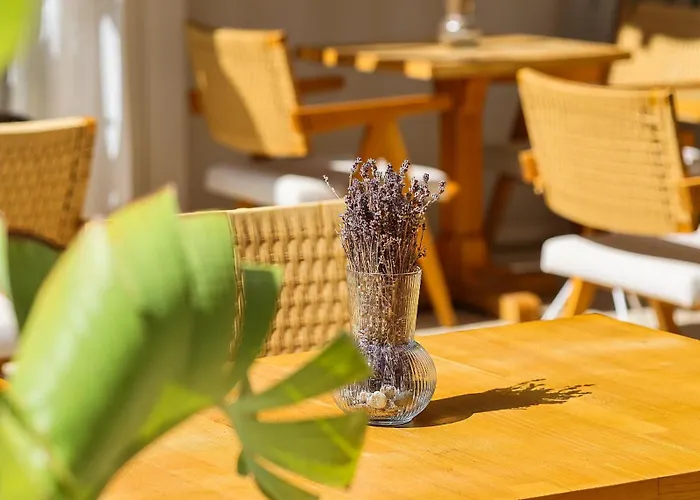 Voger Koeyici 酒店