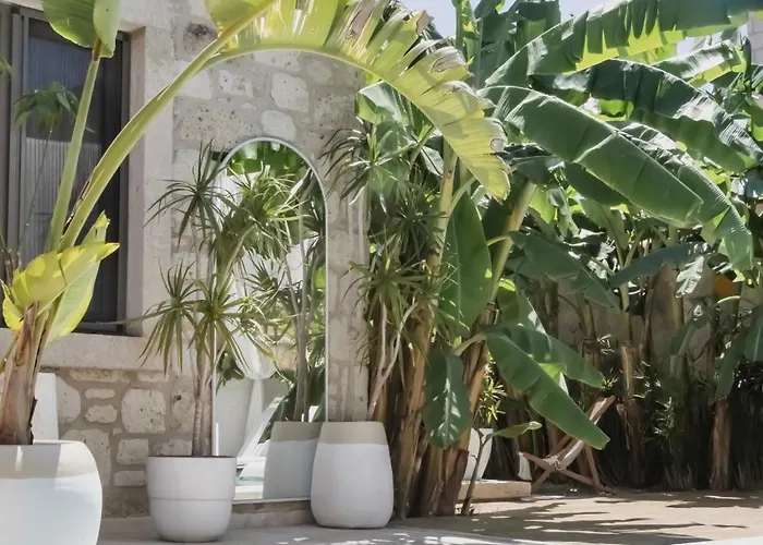 Voger Koeyici * Алачати