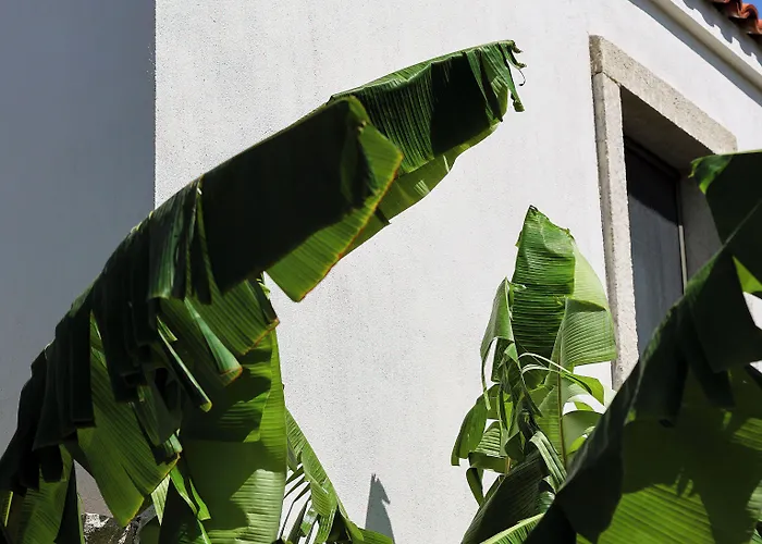 Voger Koeyici Отель *